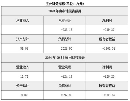 湖北信息系統安全技術(shù)服務(wù)公司轉讓項目