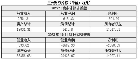 山東遙感衛星技術(shù)研發(fā)公司轉讓項目
