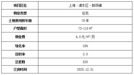 上海浦東新場(chǎng)住宅出售項目